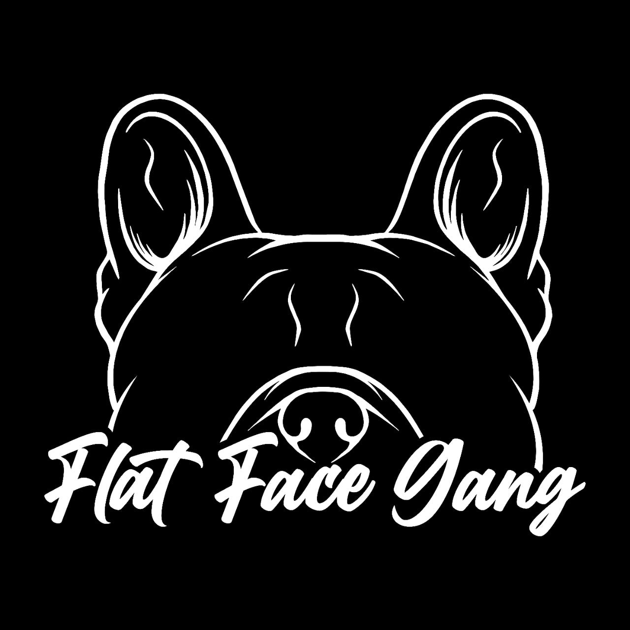 Flat face Gang Frenchie- 10x Entries