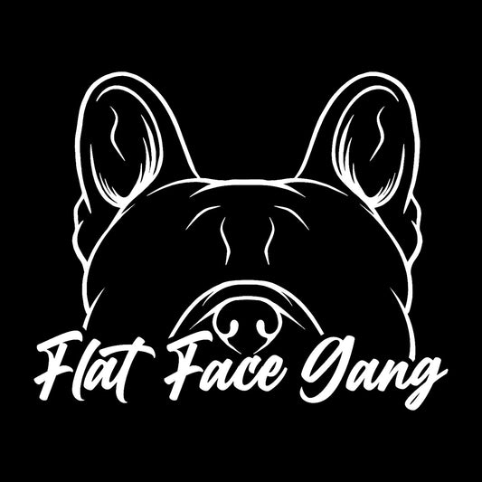 Flat face Gang Frenchie- 12x Entries